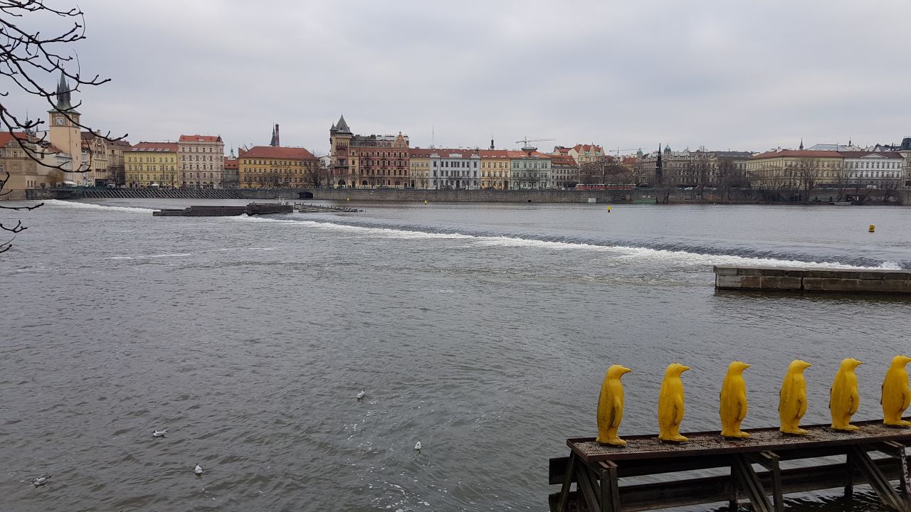 IMAGE 2018-01-15 21:09:12.jpg