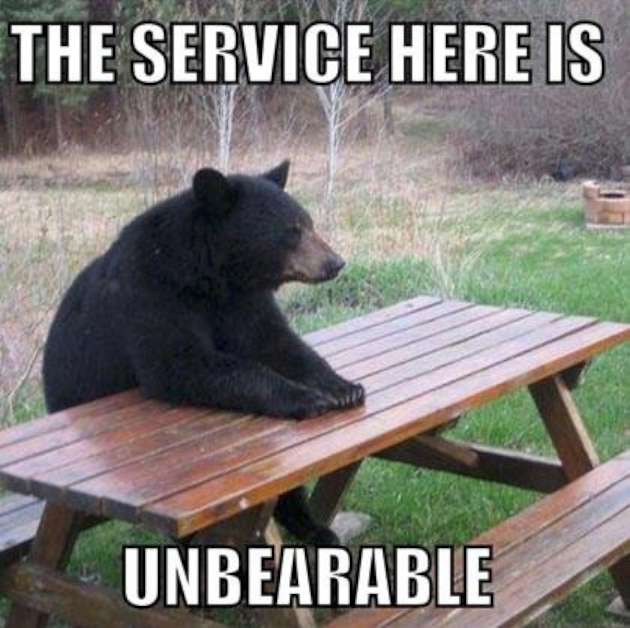 Really-funny-bear-photo-W630.jpg