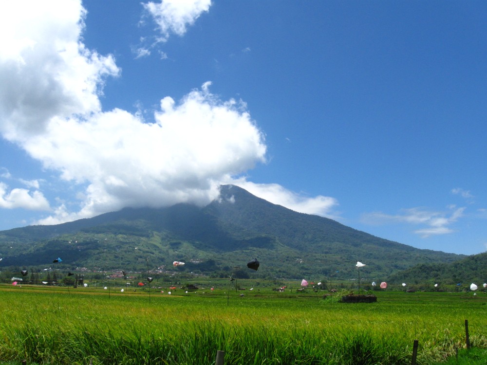 Tinggal Di Iklim Tropis Indonesia Maka Nikmat Tuhan Mana Lagi Yang Kau Dustakan Steemit