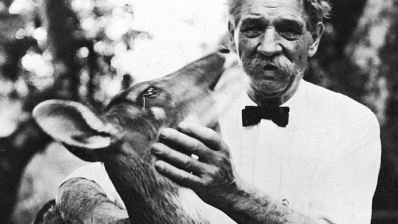 Download Zitate albert schweitzer HD