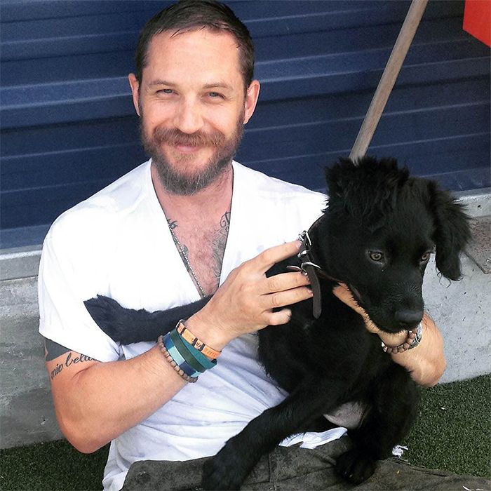 love-for-dogs-tom-hardy-32-59bf897a1dd88__700.jpg