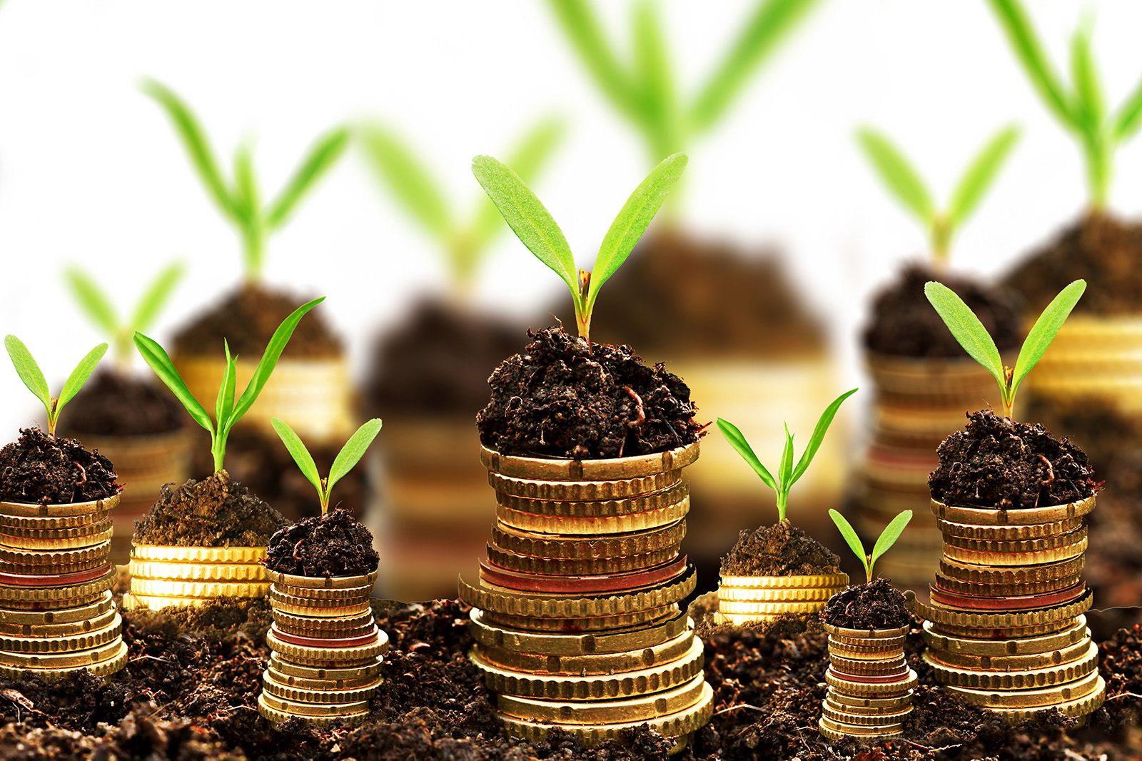 invertir-fases-ciclo-economico.jpg