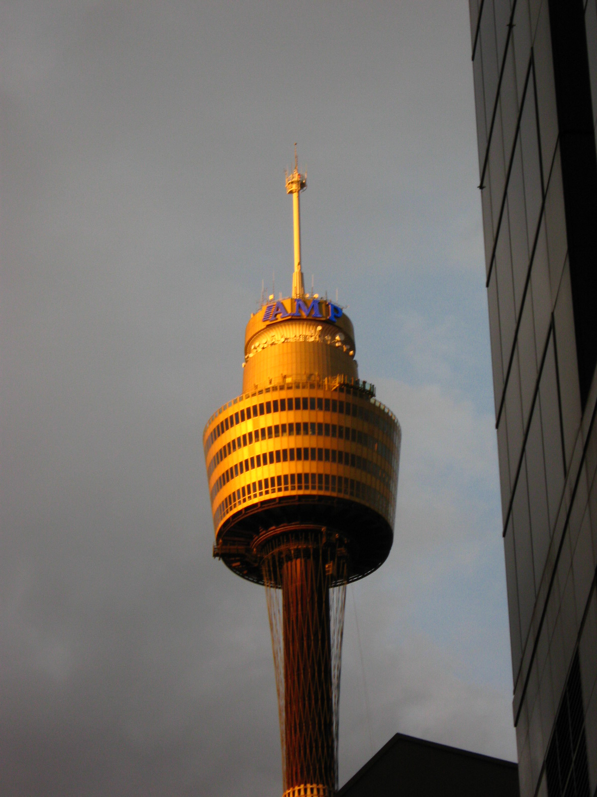 Sydney Tower IMG_0245.jpg