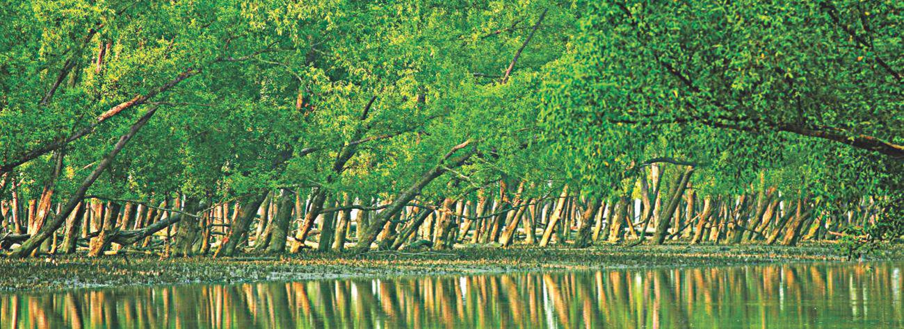 sundarban_0.jpg