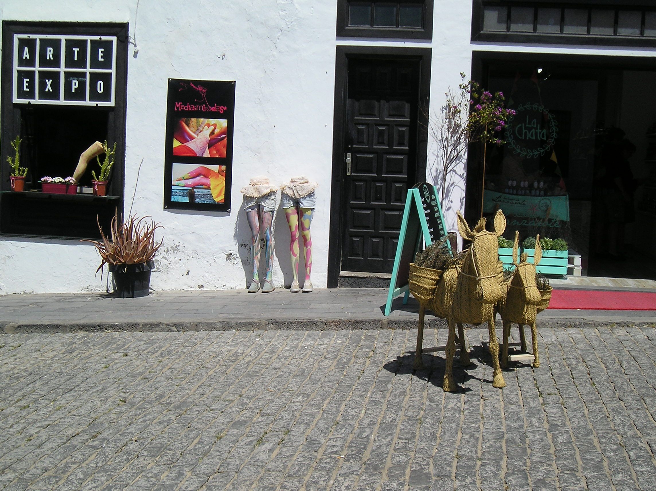 P1010014.JPG