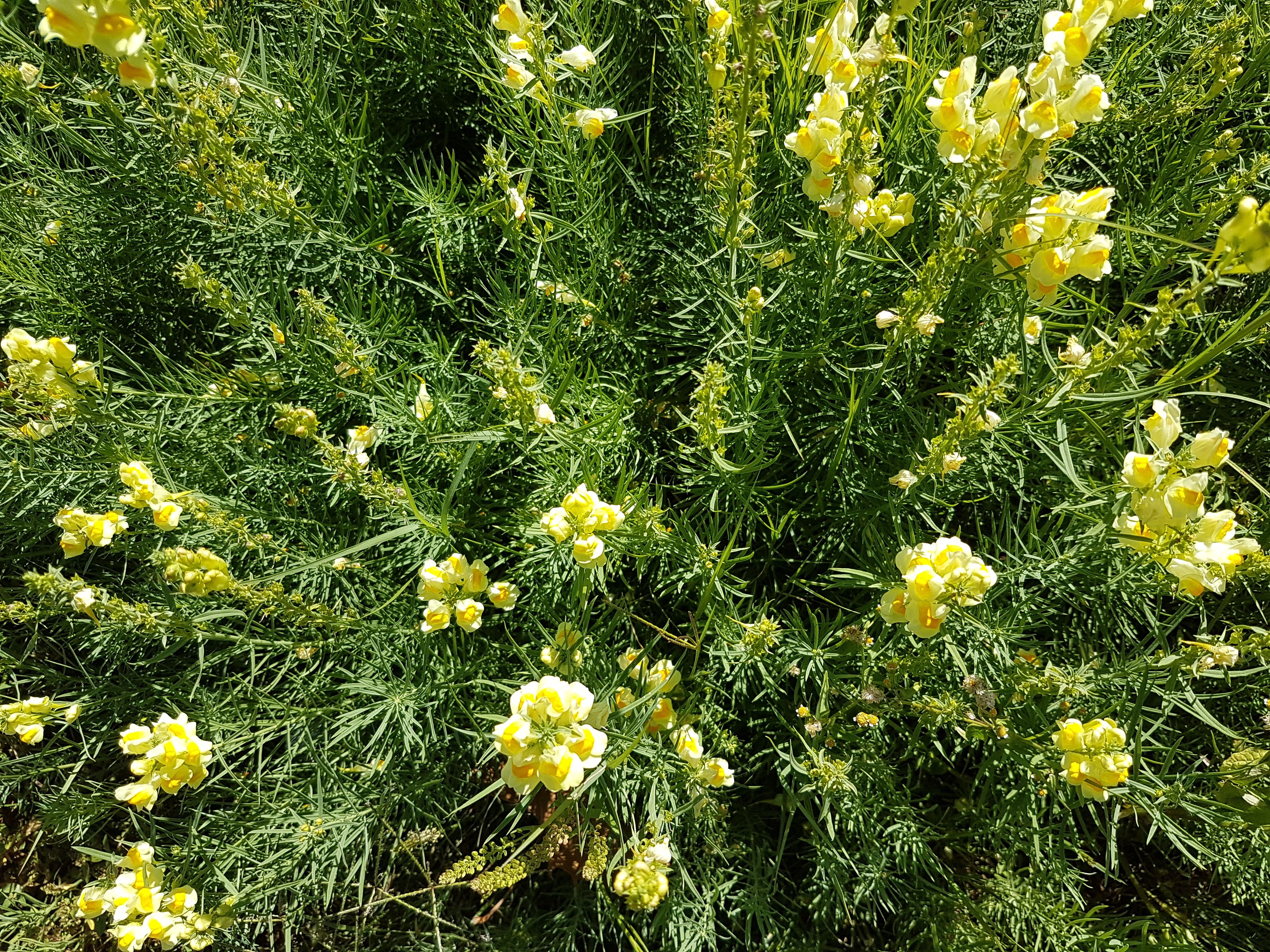 20170322_102355 (1).jpg