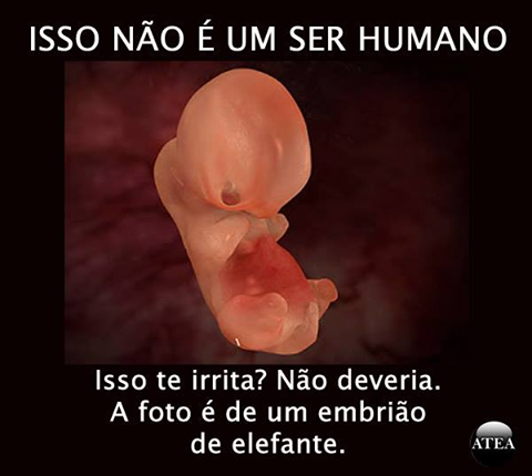 aborto.png