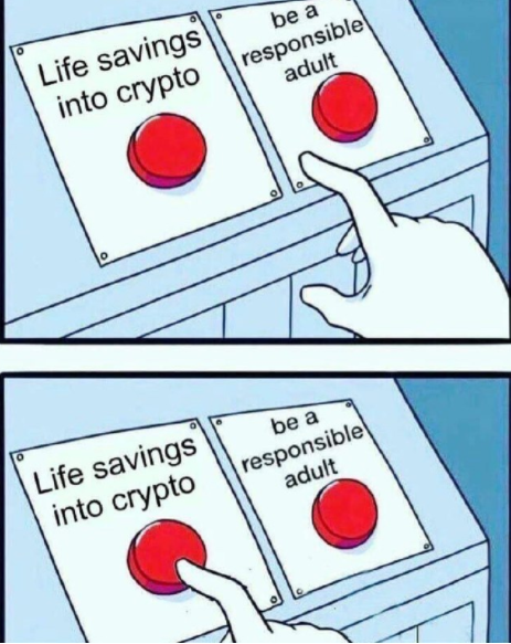 Life savings into crypto or being a responsible adult.png