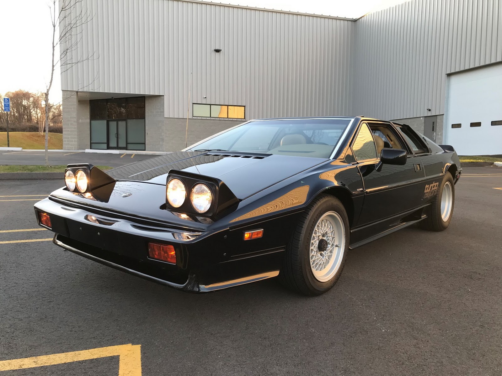 lotus-esprit-bat-1986-auction-4.jpg