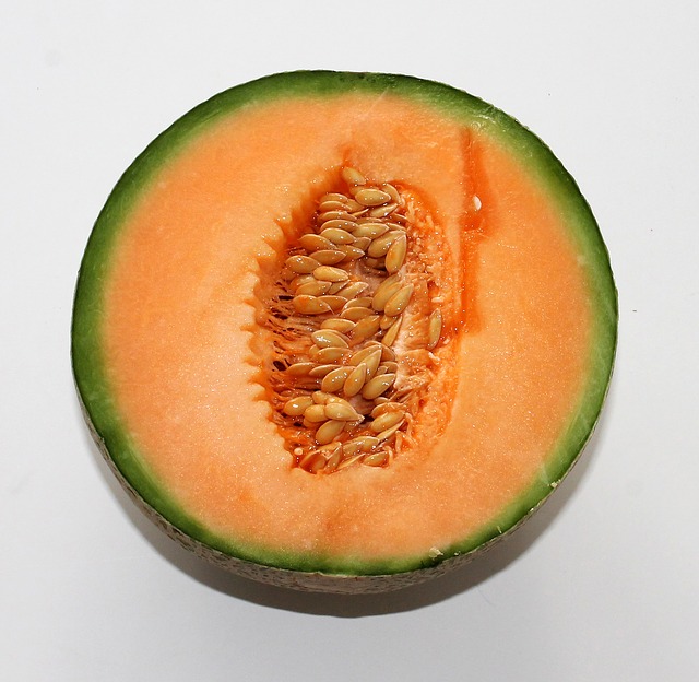 melon-626351_640.jpg