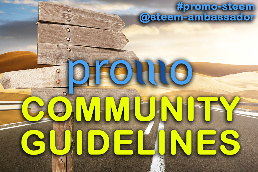 promo-steem community guidelines.png