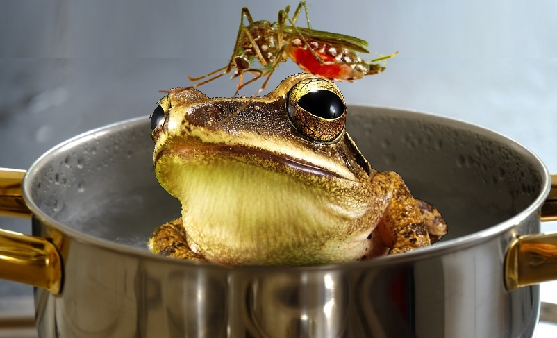 money parasite boiling frog.jpg