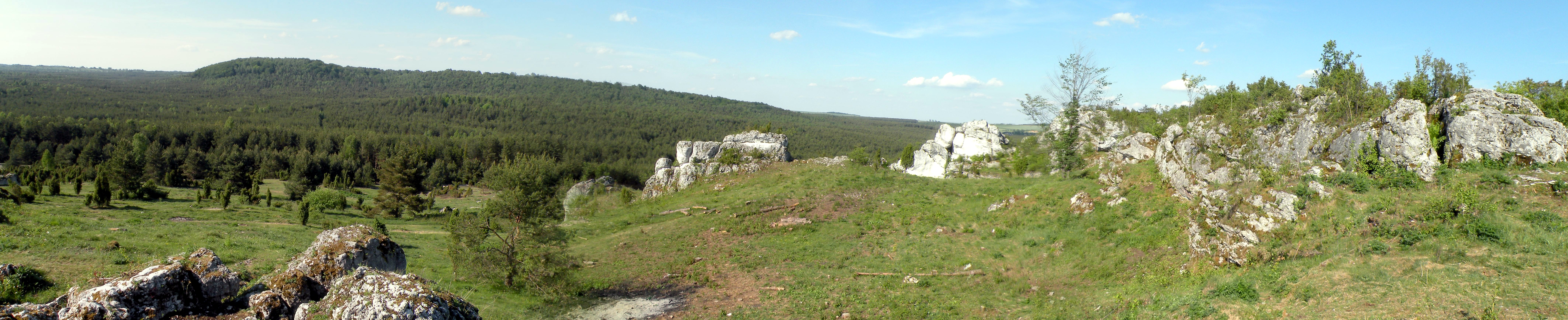 DSCN3205 Mirów (14).jpg
