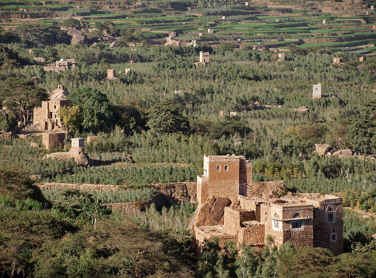 Khat_fields_in_western_yemen.jpg