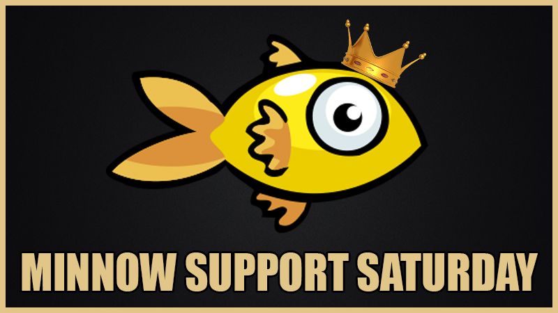 Minnow Support Saturday.jpg