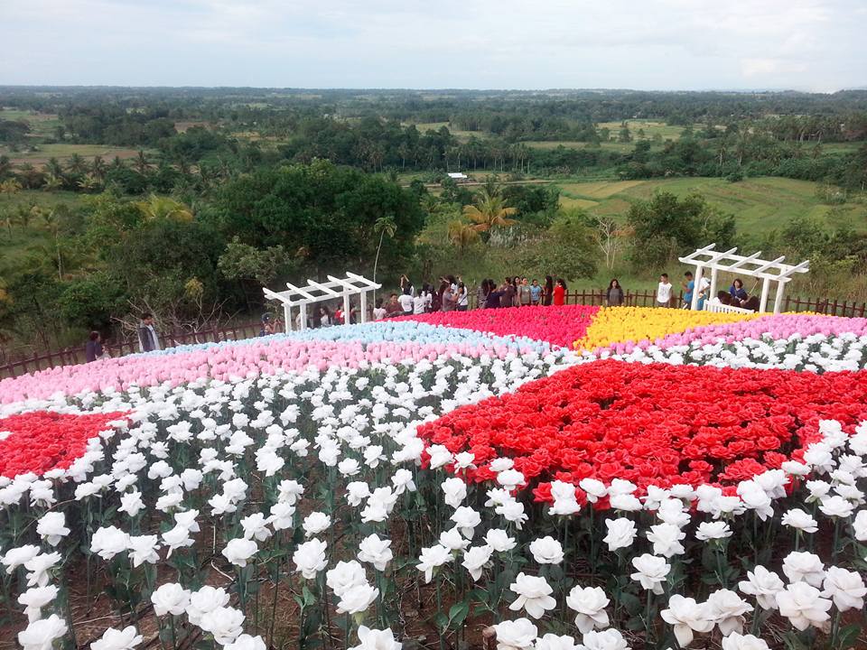 Tourist Spot In Bohol