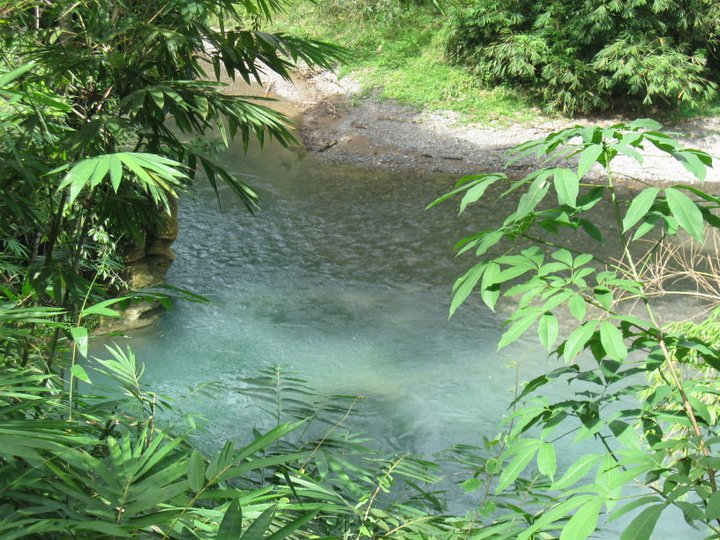 sungai samsa - bukit lawang.jpg