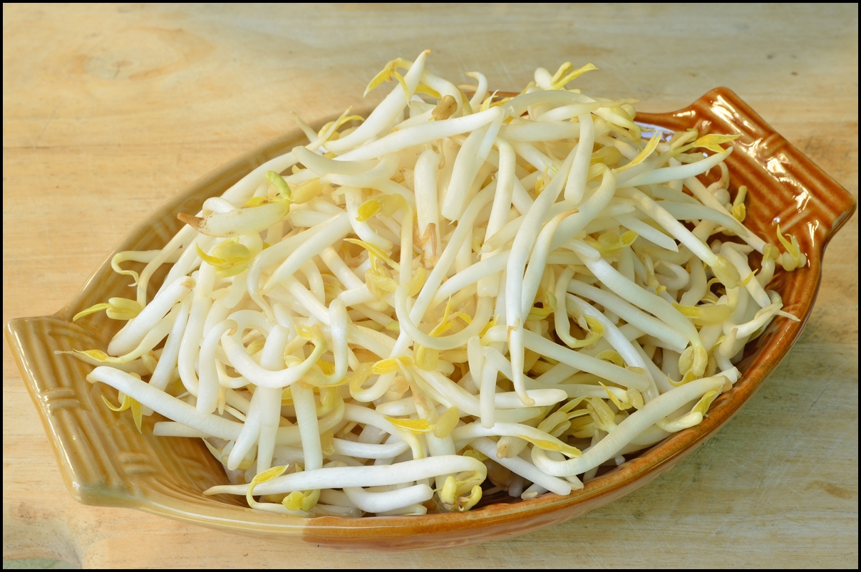 Fun-Facts-of-Bean-Sprouts.jpg