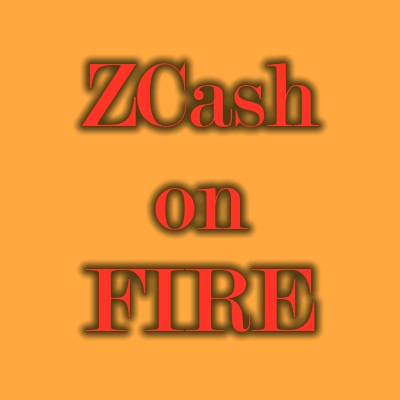 ZEC Fire.jpg