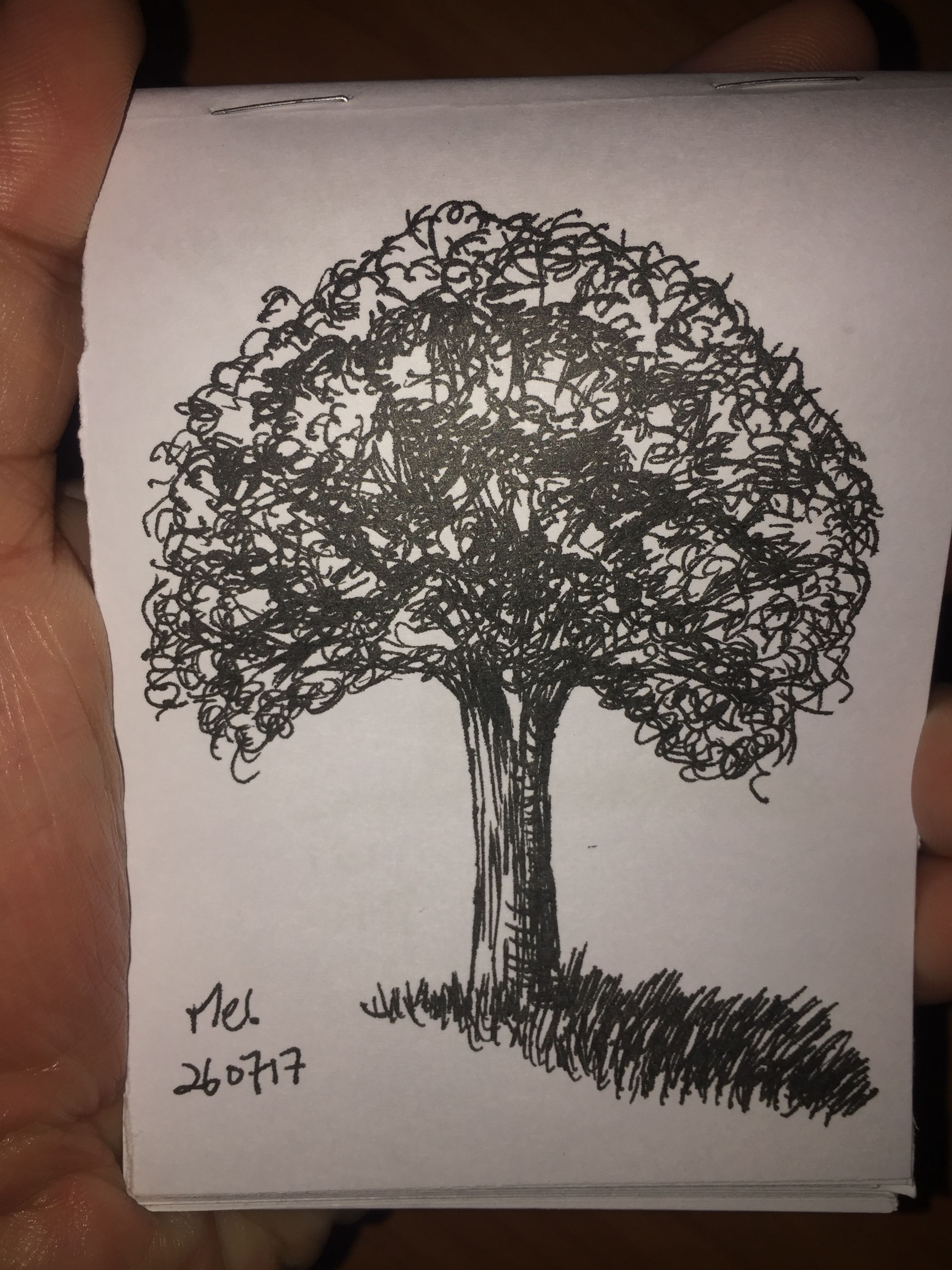 hobby_teammalaysia_drawing_tree.JPG