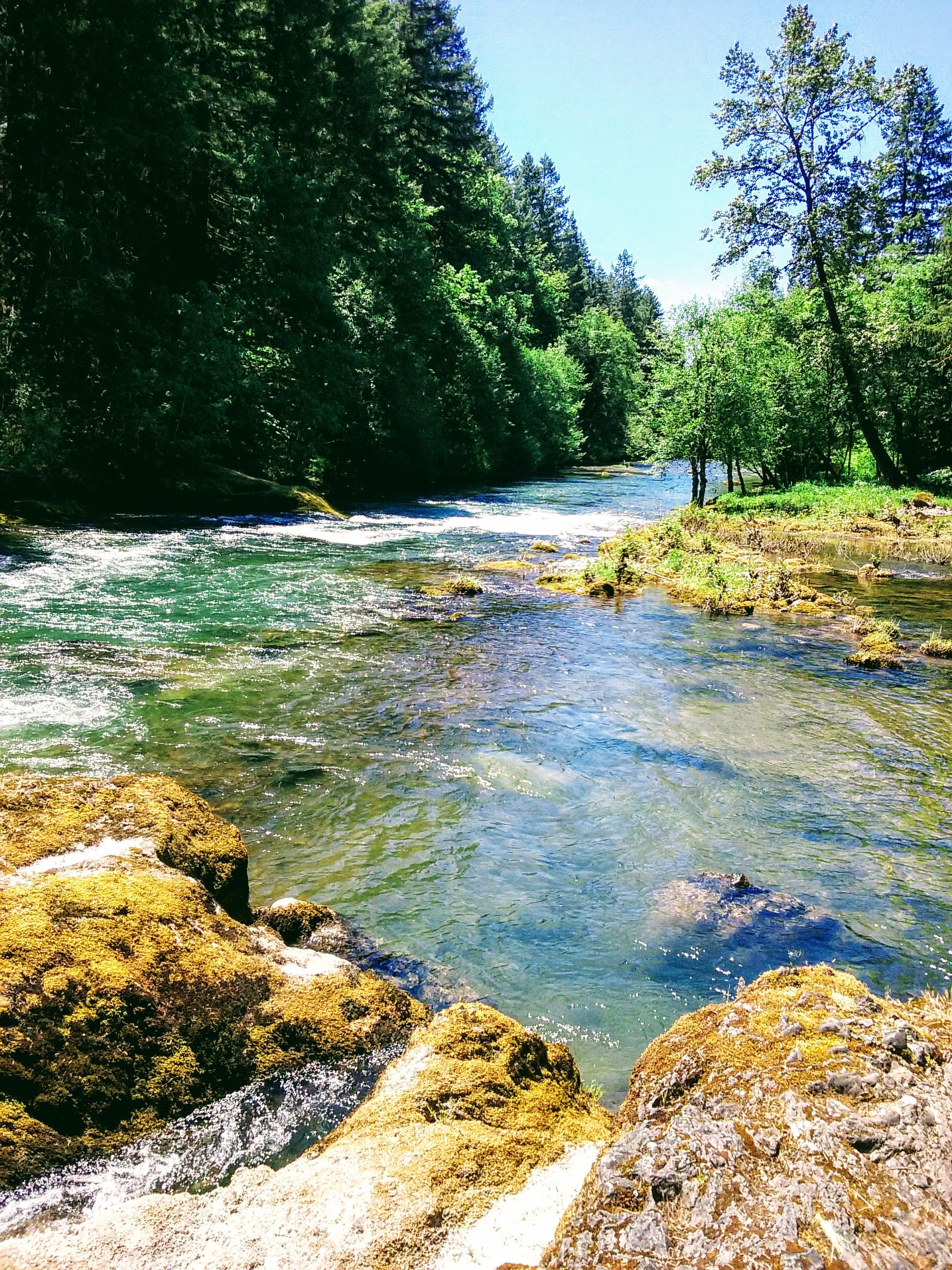 20170526_124846.jpg