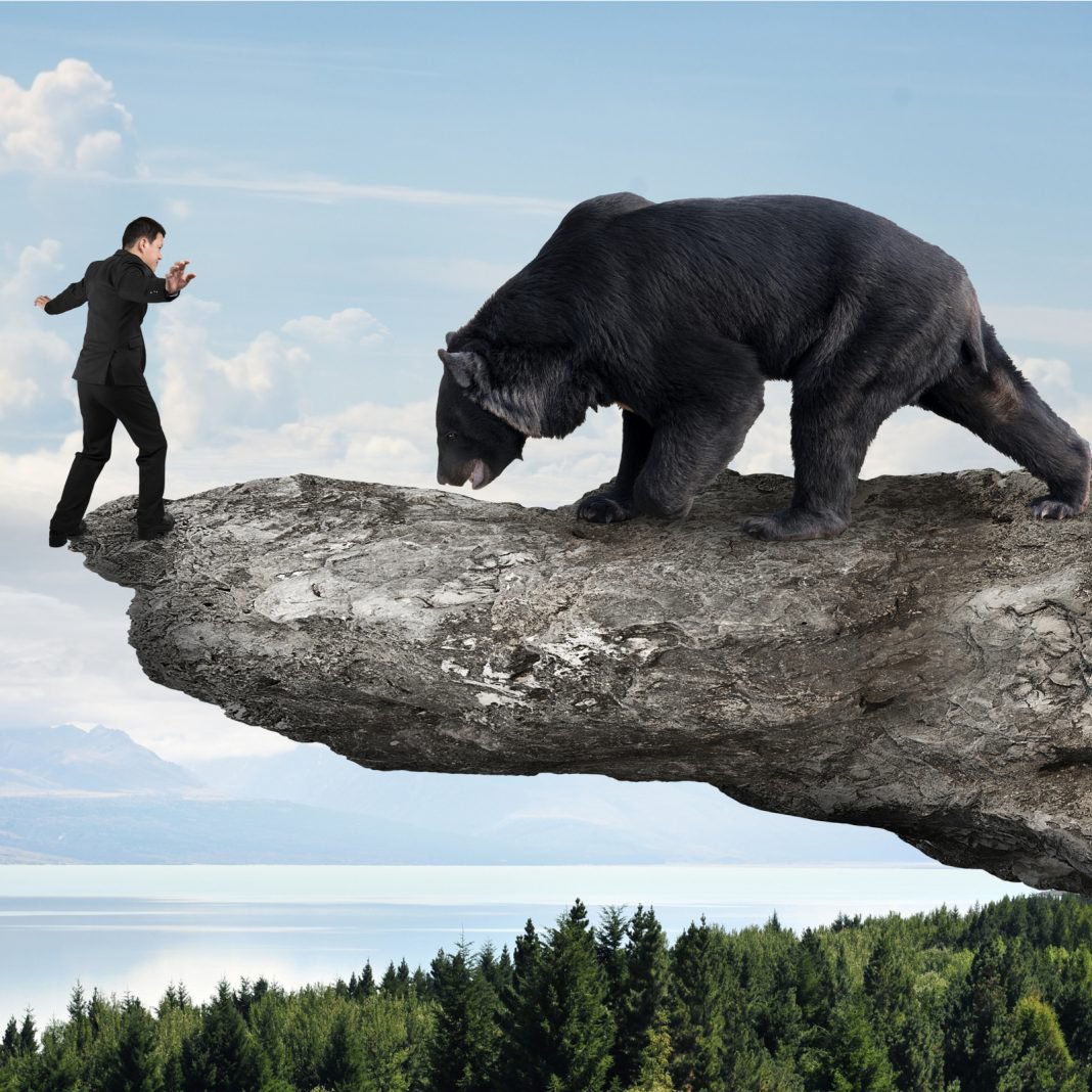 bear-market-1068x1068.jpg