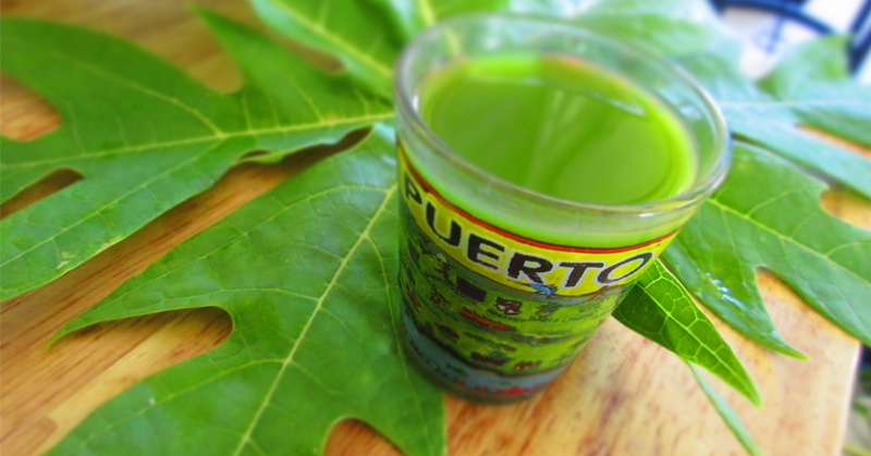 papaya-leaf-juice.jpg