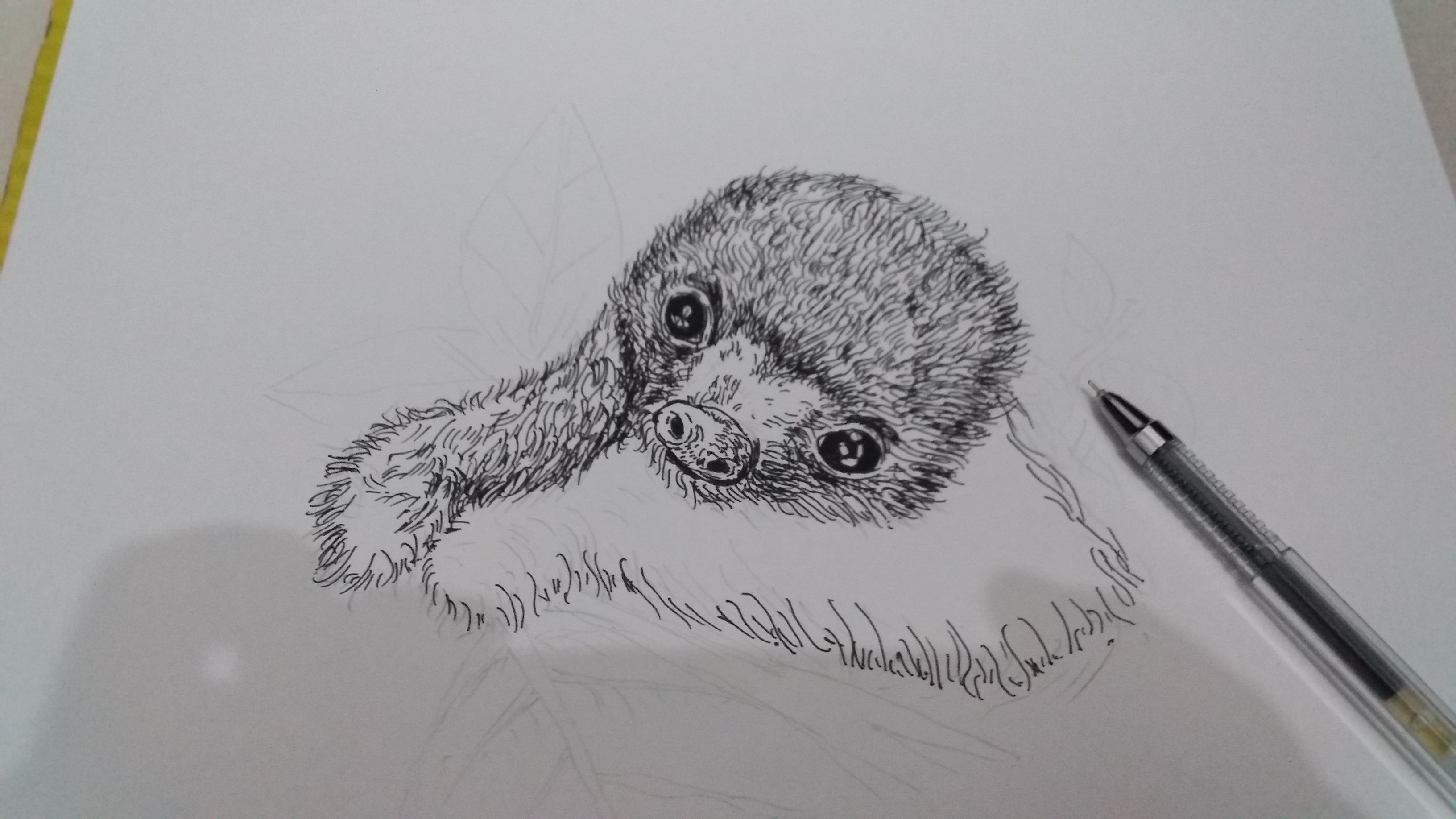 Flow Drawing: How to Draw a Sloth - Arty Crafty Kids