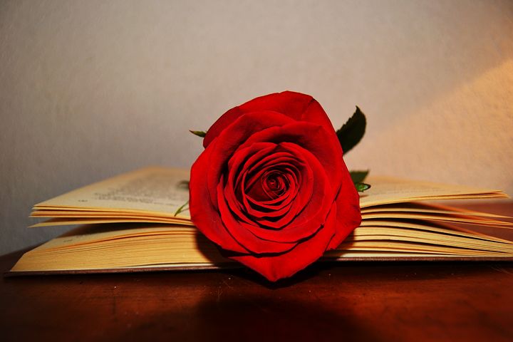 book-2287584__480.jpg