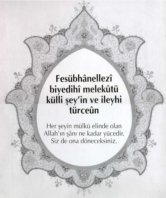 121.JPG