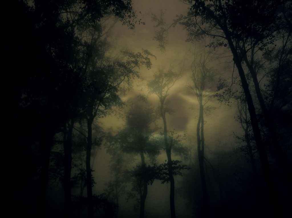 evil_forest_by_syntheticbloob.jpg