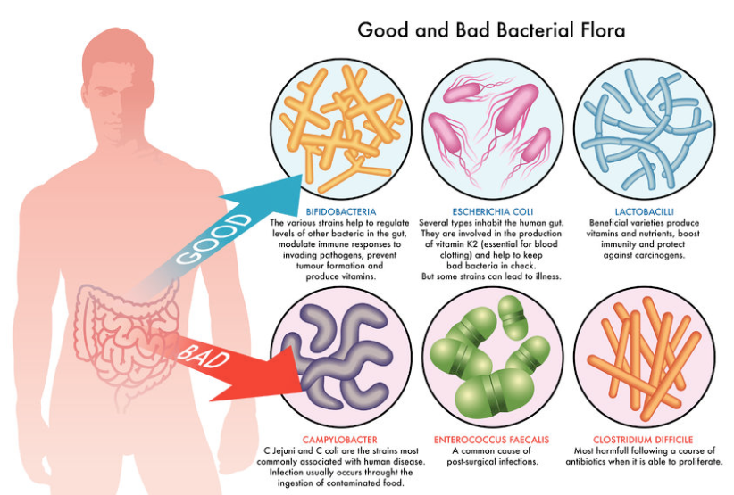 microbial-medical-treatments