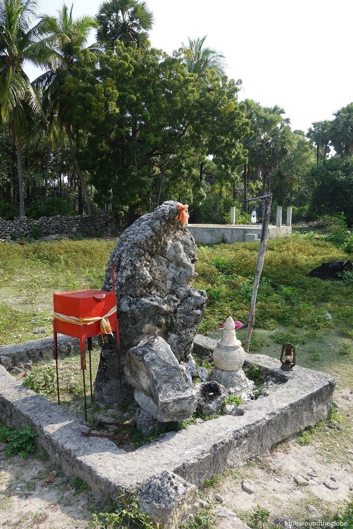 Growing rock, Delft Island, Jaffna, Sri Lanka.jpg