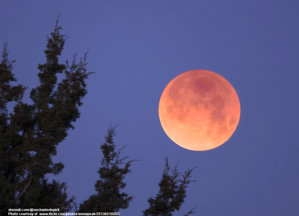 BloodMoon2018-010118.jpg