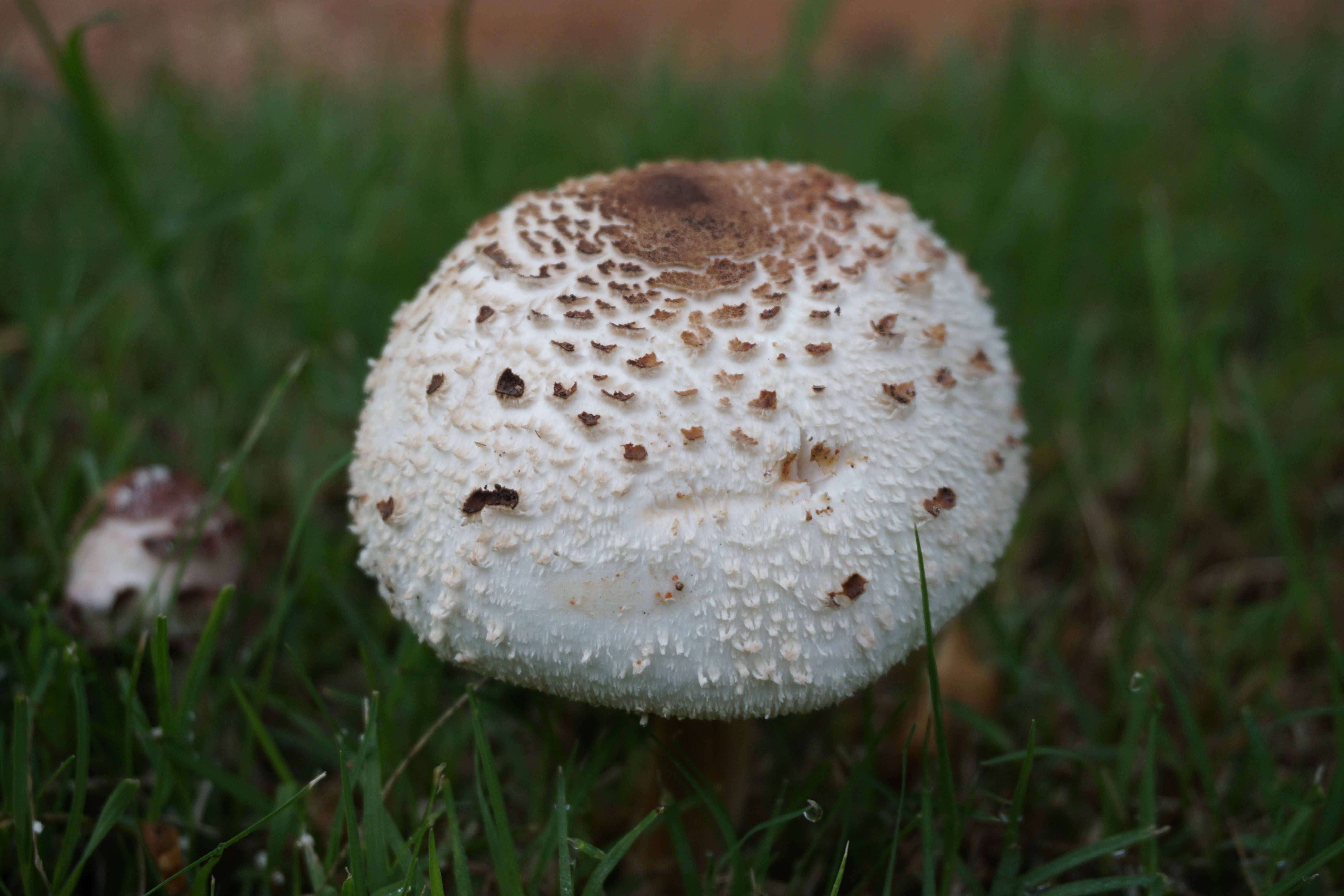 DSC01590.JPG