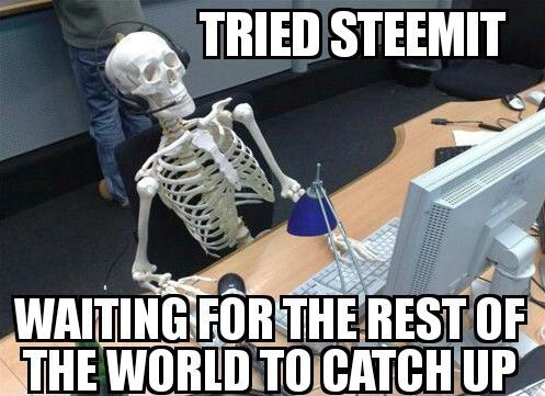 steem.jpg