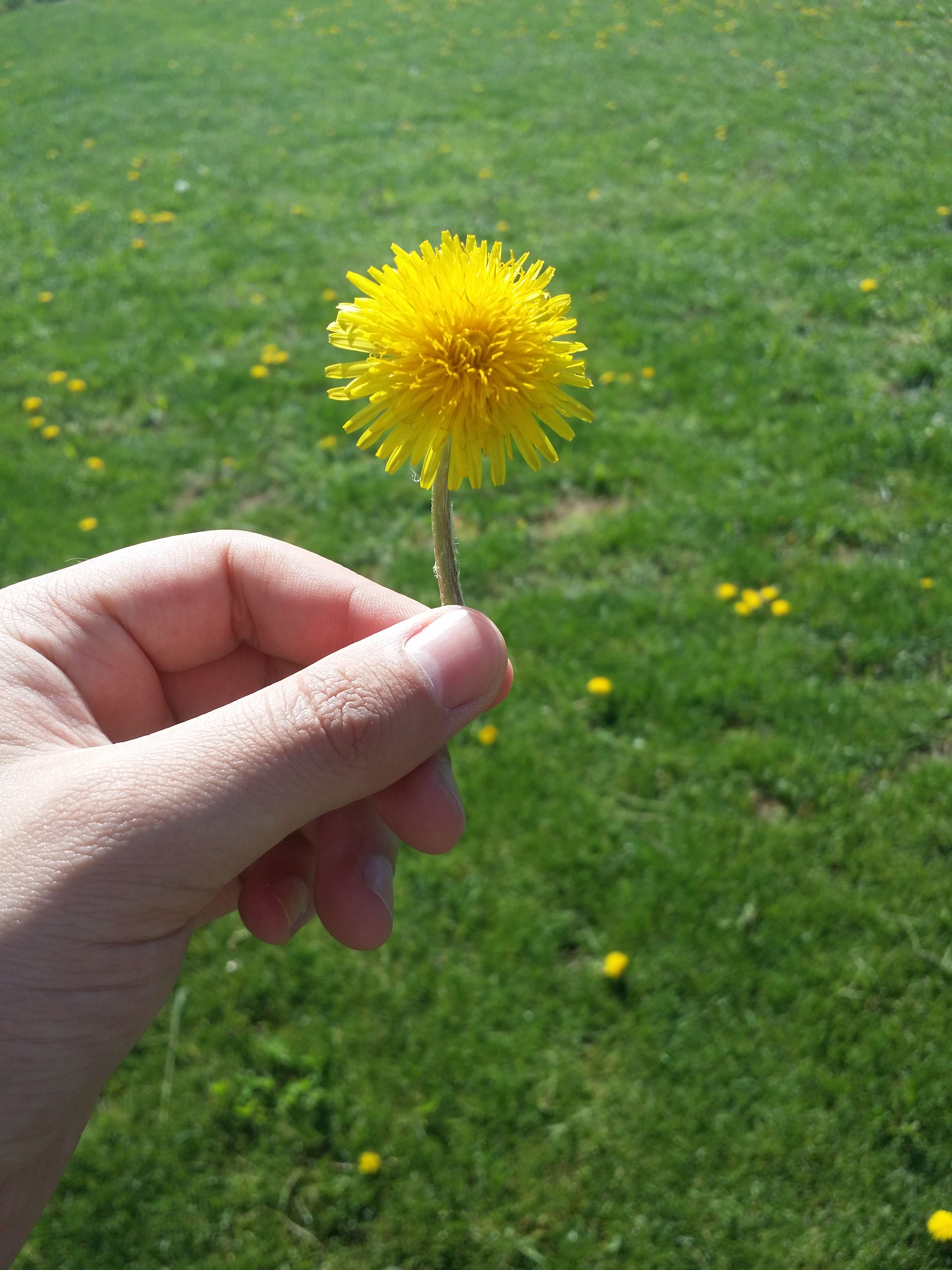 20180422_094304.jpg