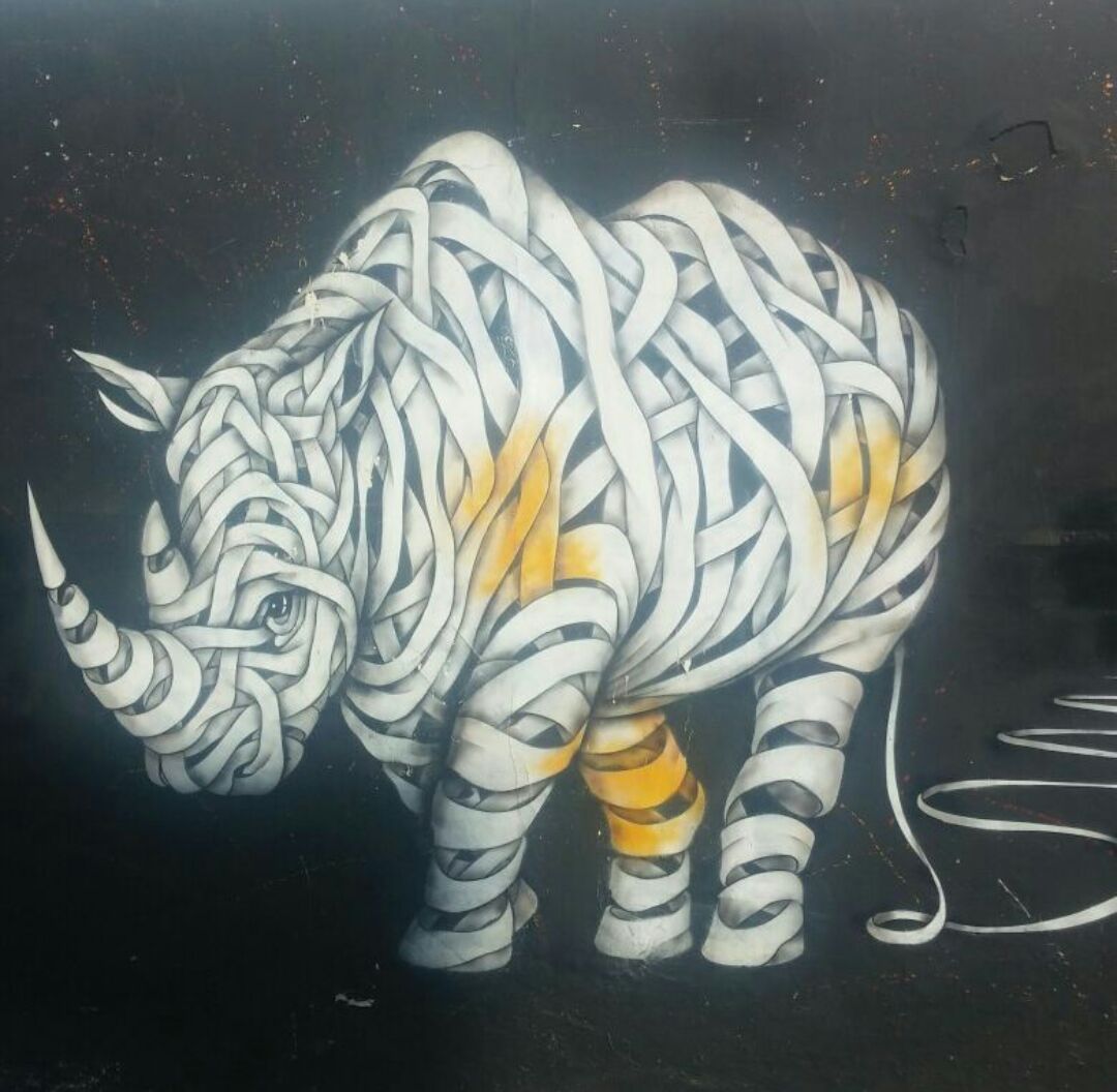 photo5793951994187197618 (1).jpg