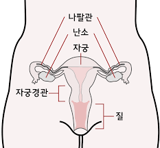 다운로드 (2).png