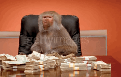giphy (11).gif