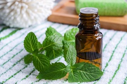 peppermint-oil1.jpg