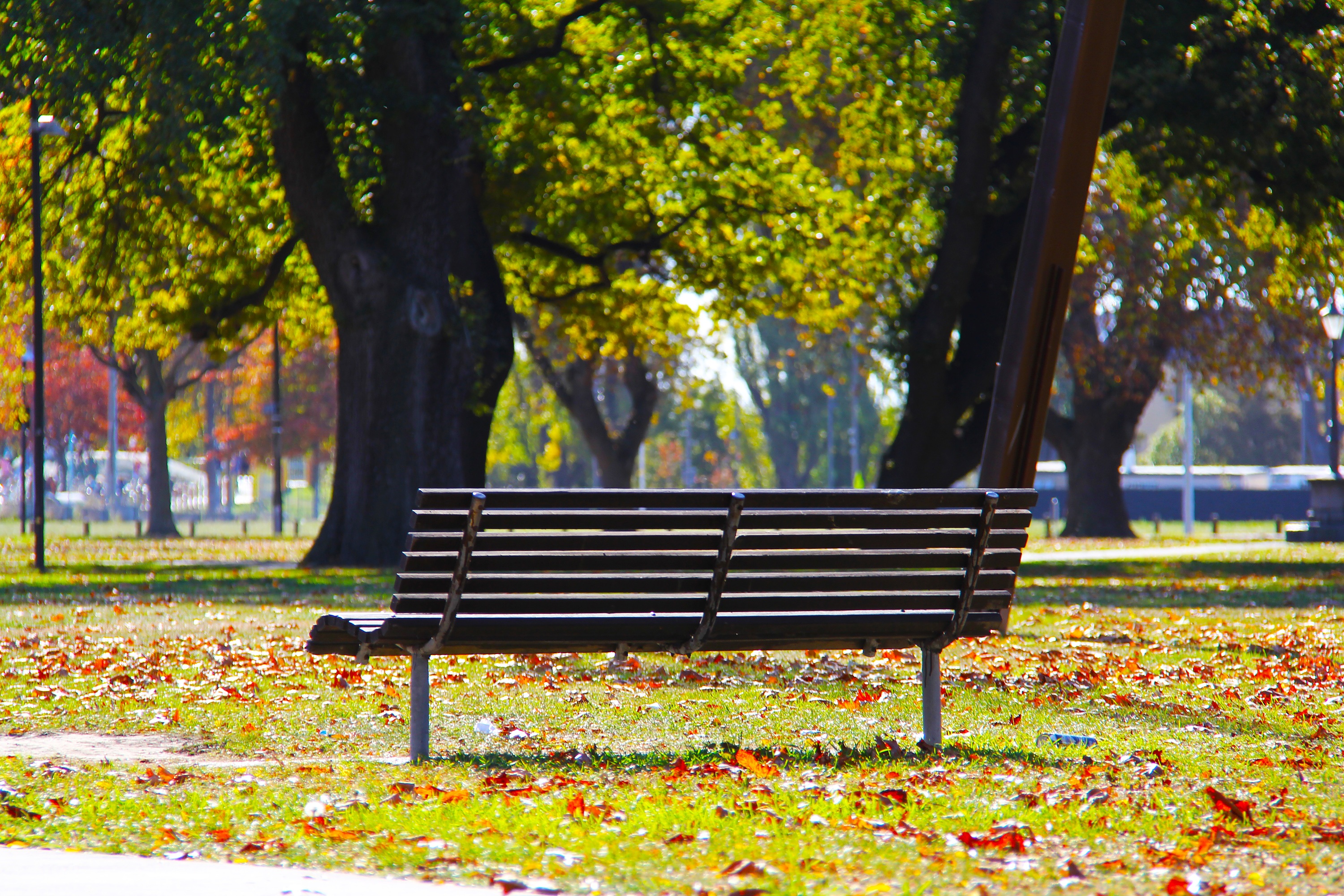 bench-blue-sky-city-160934.jpeg