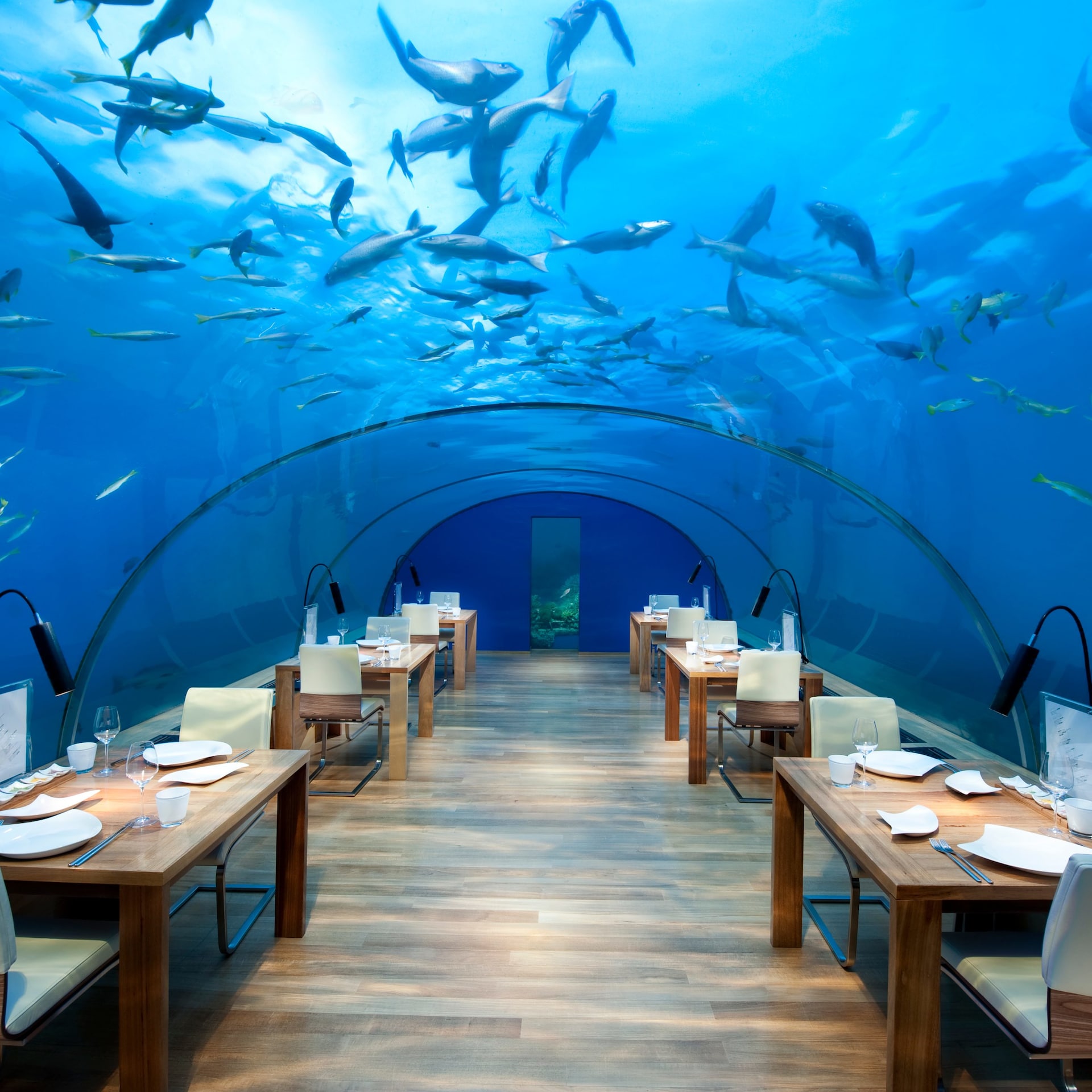 Conrad_Maldives_Ithaa_Undersea_Restaurant_(1)_trans_NvBQzQNjv4Bqz3el91uTwDoD8cI4CKsPEvH9gS3ZE6iYW91P3VmbQc8.jpg