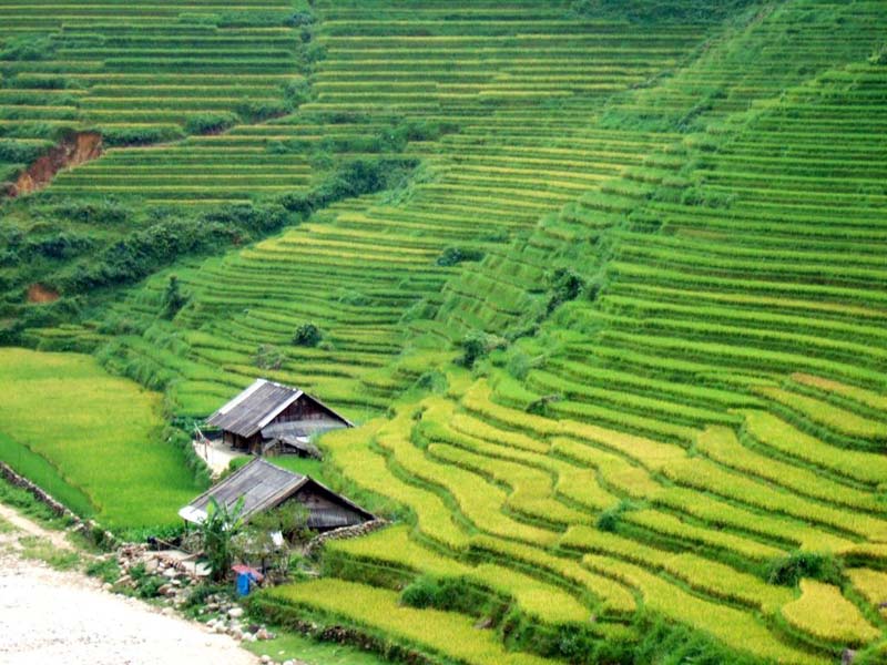Muong-Hoa-Valley.jpg