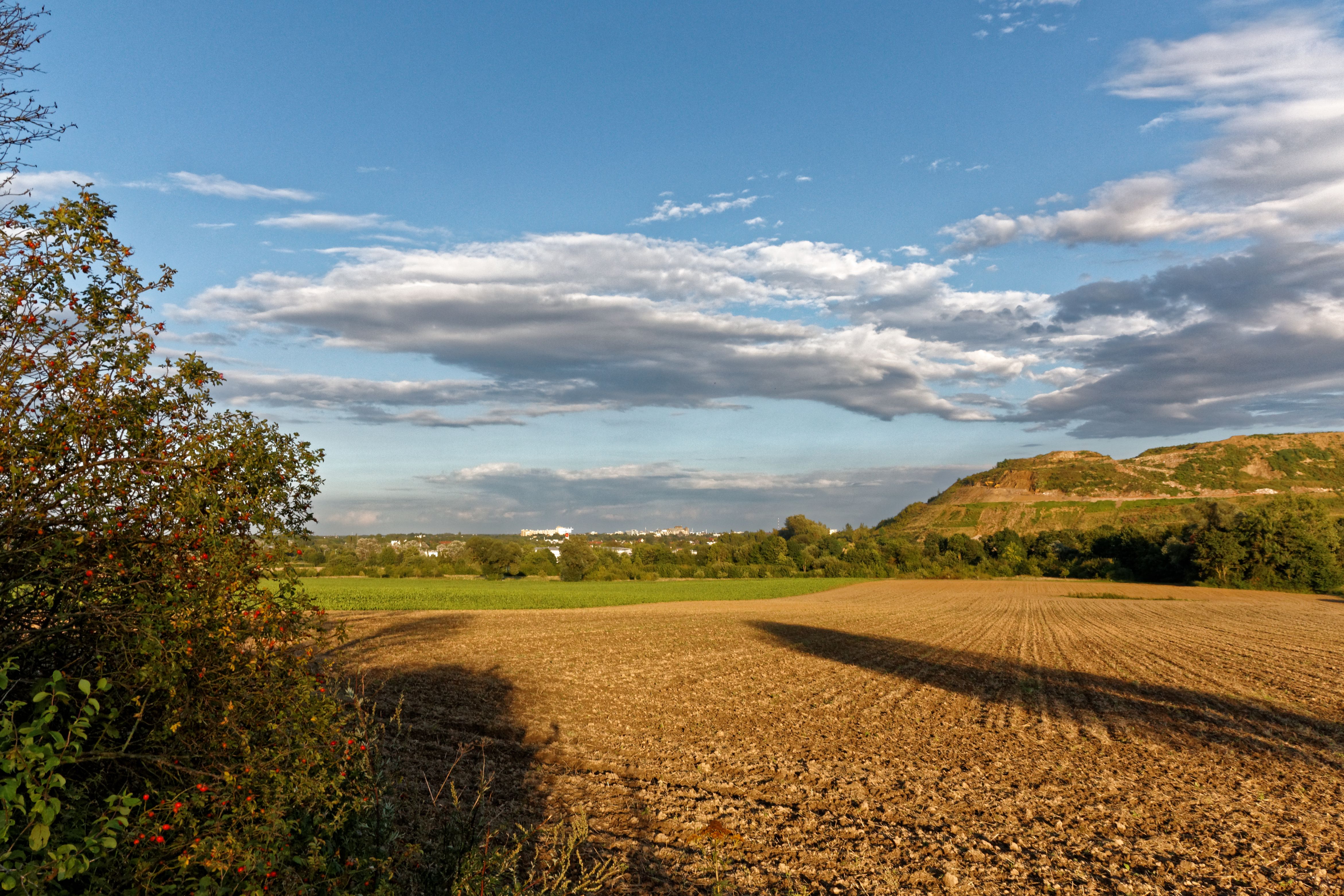 2017.08.19 Landscape 6.jpg