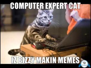 computer-expert-cat-iz-bizzy-makin-memes-thumb.jpg