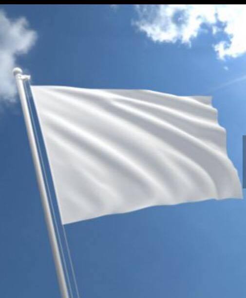 White flag great pic.jpg