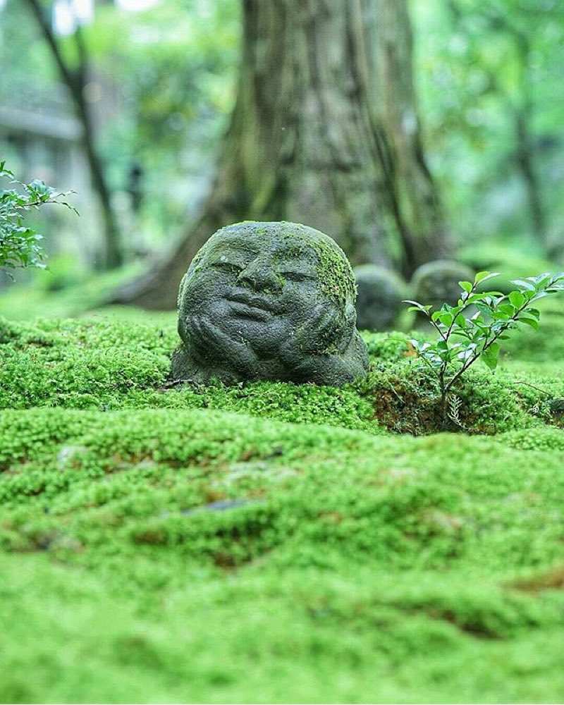 I saw this Beautiful Statue in Forest.jpg