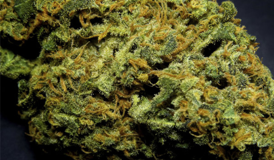 stuffyoushouldknow-podcasts-wp-content-uploads-sites-16-2014-05-h-marijuana-w-600x350.jpg