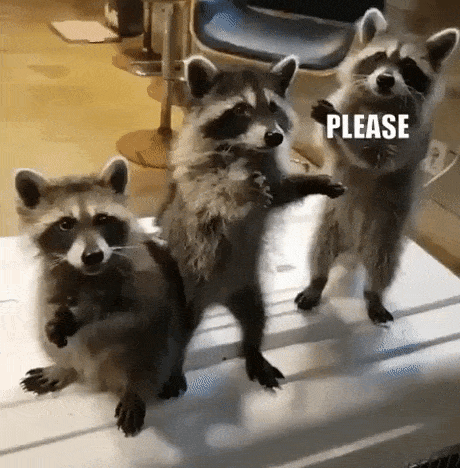2f8f7d29060b67205f541082c10fb4e8747276d7.gif